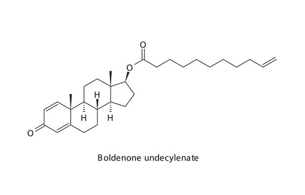 Přečtete si více ze článku Boldenón Undecylenát