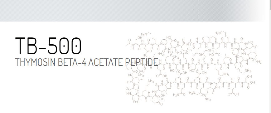Přečtete si více ze článku TB-500 (Tymozín beta 4)